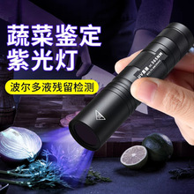 伍德氏灯照猫藓尿紫光灯手电筒紫外线uv固化美甲验钞真菌检测专用