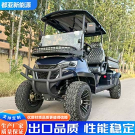 电动观光车;高尔夫球车;其他电动车