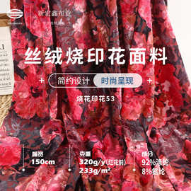 丝绒烧花烂花面料 40D韩国进口金丝绒233G春秋冬高档礼服旗袍布料