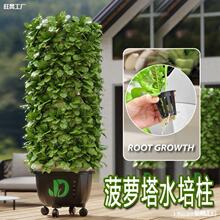 ˮ�F����ˮ��ˮ���C���o�������O��Nֲ���Ҵ����̨�N�˼҉�����