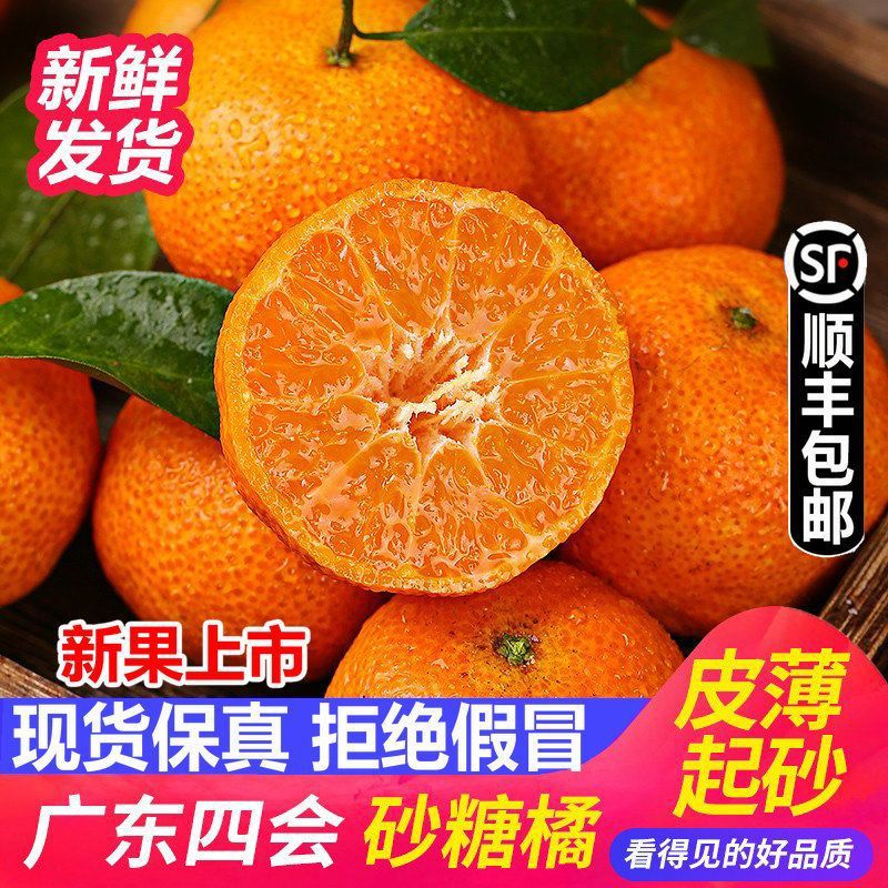 四会砂糖橘沙糖桔子纯甜无渣水果新鲜当季时令广西跨境货源厂批发