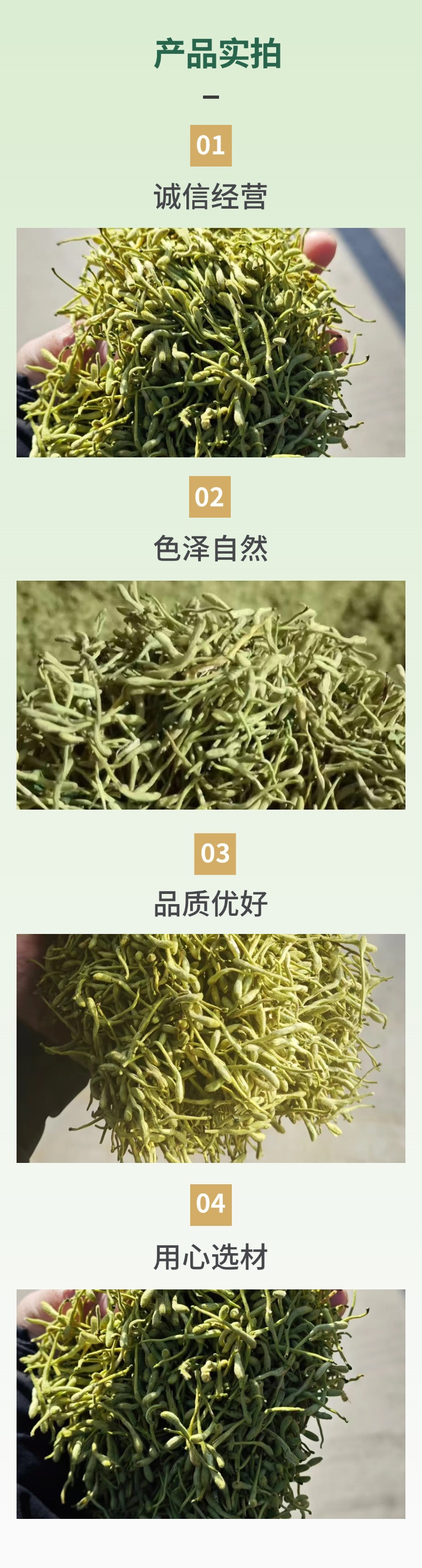 Dried Honeysuckle Flower Jin Yin Hua 500g Loose Herbal Tea Traditional Chinese Herbal Botanicals specifications