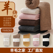 羊毛袜子秋冬新款纯色简约加绒加厚雪地男中长筒毛圈批发代发