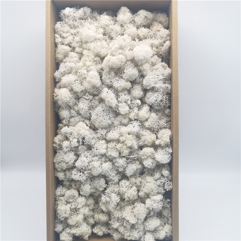 Preserved flowers, preserved moss wholesale, whole boxed moss, no roots and few impurities, plant wall