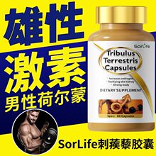 ���Դ���޼�z����Ȼغ��غͪ���Ժɠ��ɳ־�͸֧Ʒ