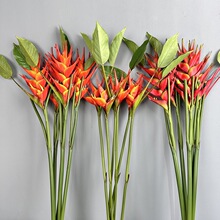 �����ָл��Q ϐβ�m�����B�ٻ��Ҿ��b�c����ϐβ���������Q