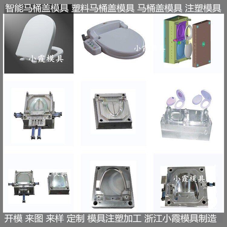 智能马桶盖模具 (28)