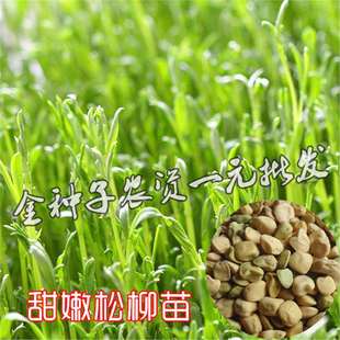 ����������ѿ��˷N�������N��ˮ���ѿ���ļ��߲�