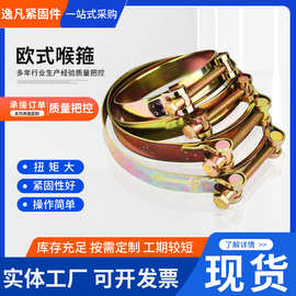 批发欧式铁镀锌强力喉箍卡扣铁镀锌水带卡箍管夹重型卡扣抱箍
