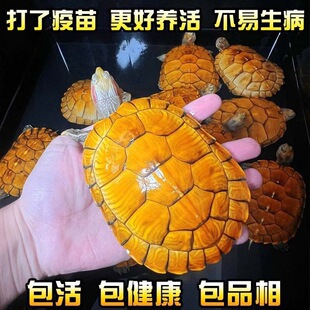 ����������ؔ�S������ˮ���Բ���H�����^�p���lؔ�������X��