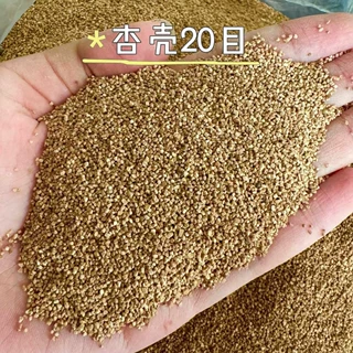 、优质杏壳颗粒 油田堵漏抛光研磨填料 滤料填充用 工厂天然杏壳