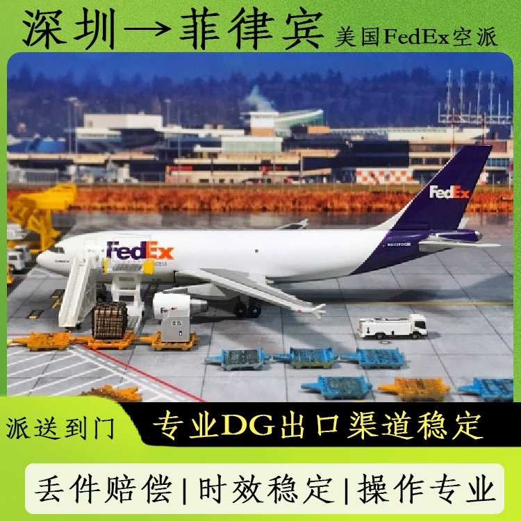 Автомобильный источник питания Чистый аккумулятор Шэньчжэнь на Филиппины FedEx Экспресс с двойным налогом до двери DDU