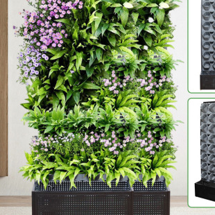 ���ƄӶ๦���Ԅӝ�ˮ���ʽ����ֲ��̨�N�˶����ݮֲ��Nֲ