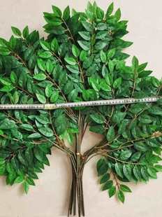 �����~�ܘ��~�����~�٘�֦�@�־��^�b��҃��쾰��