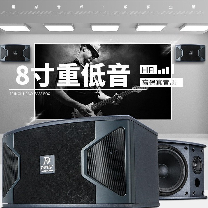 Factory direct sale professional 8-inch 10inch 12inch karaoke speaker for private rooms, KTV, conferences, dance classes, and home use