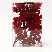 桑葚果永生花天然真花干花桑葚果红色黄色桑葚果diy配材配饰干花