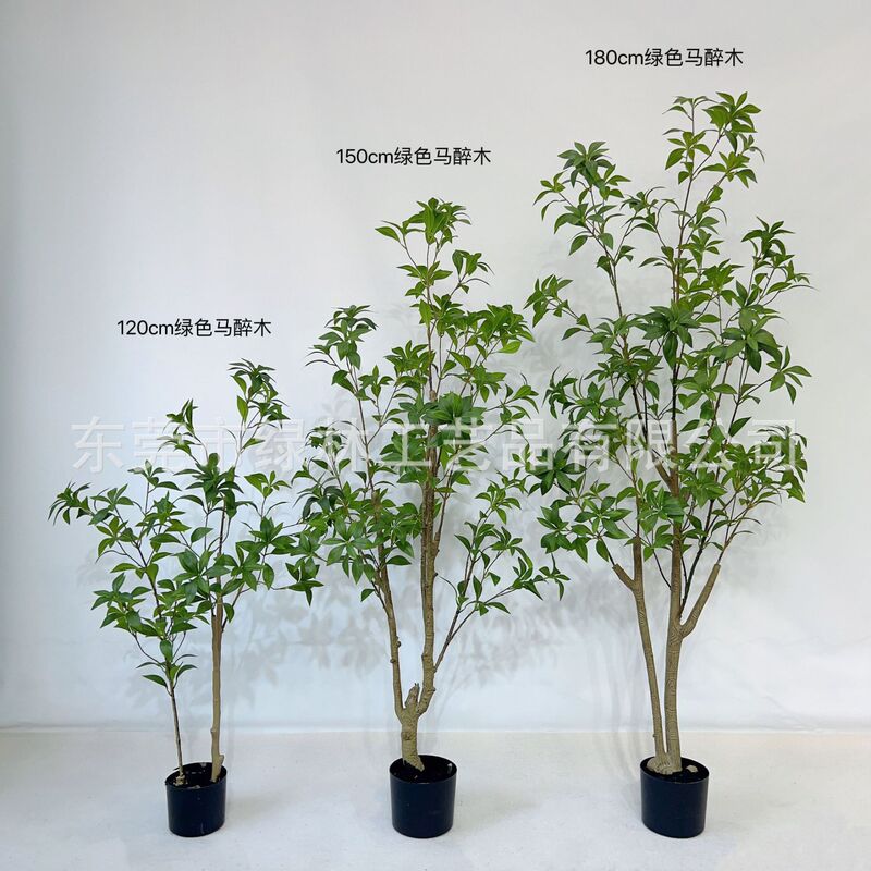 シミュレーション馬酔木着地鉢植え緑植物室内ショーウインドー造景装飾日本吊鐘ネット赤緑植|undefined