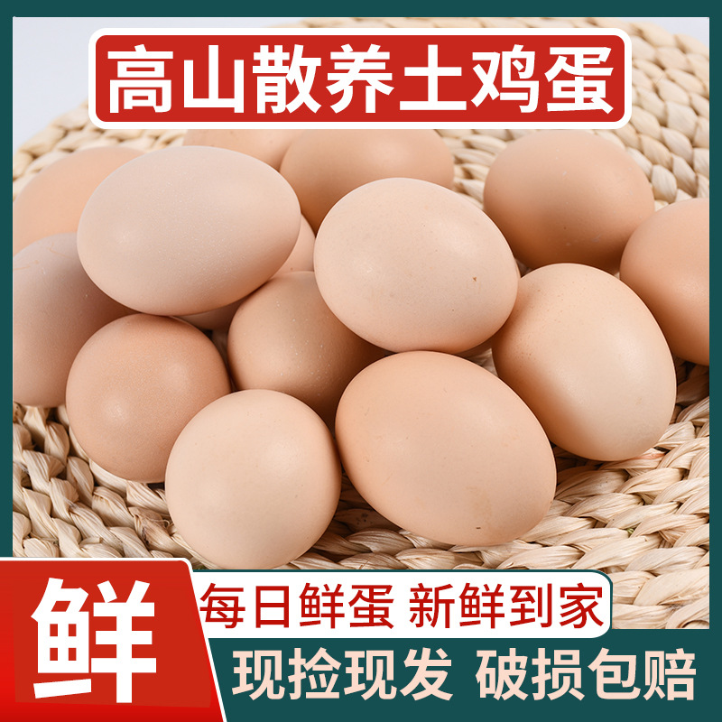 一农 高山散养土鸡蛋 小枞现捡月子蛋 50枚装新鲜鸡蛋批发