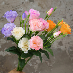 �ߙn����3�^��۹����滨��c����d�Y��ӆ���b�ˇ�����۹���