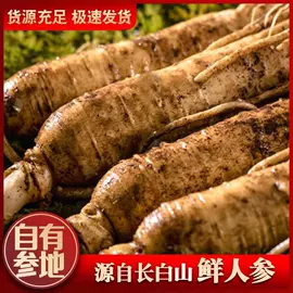 参类滋补品;灵芝;保健食品