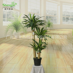 ��������F�҃ȟᎧ�����쾰����Gֲ����ֲ���F�����䱱�W�辰