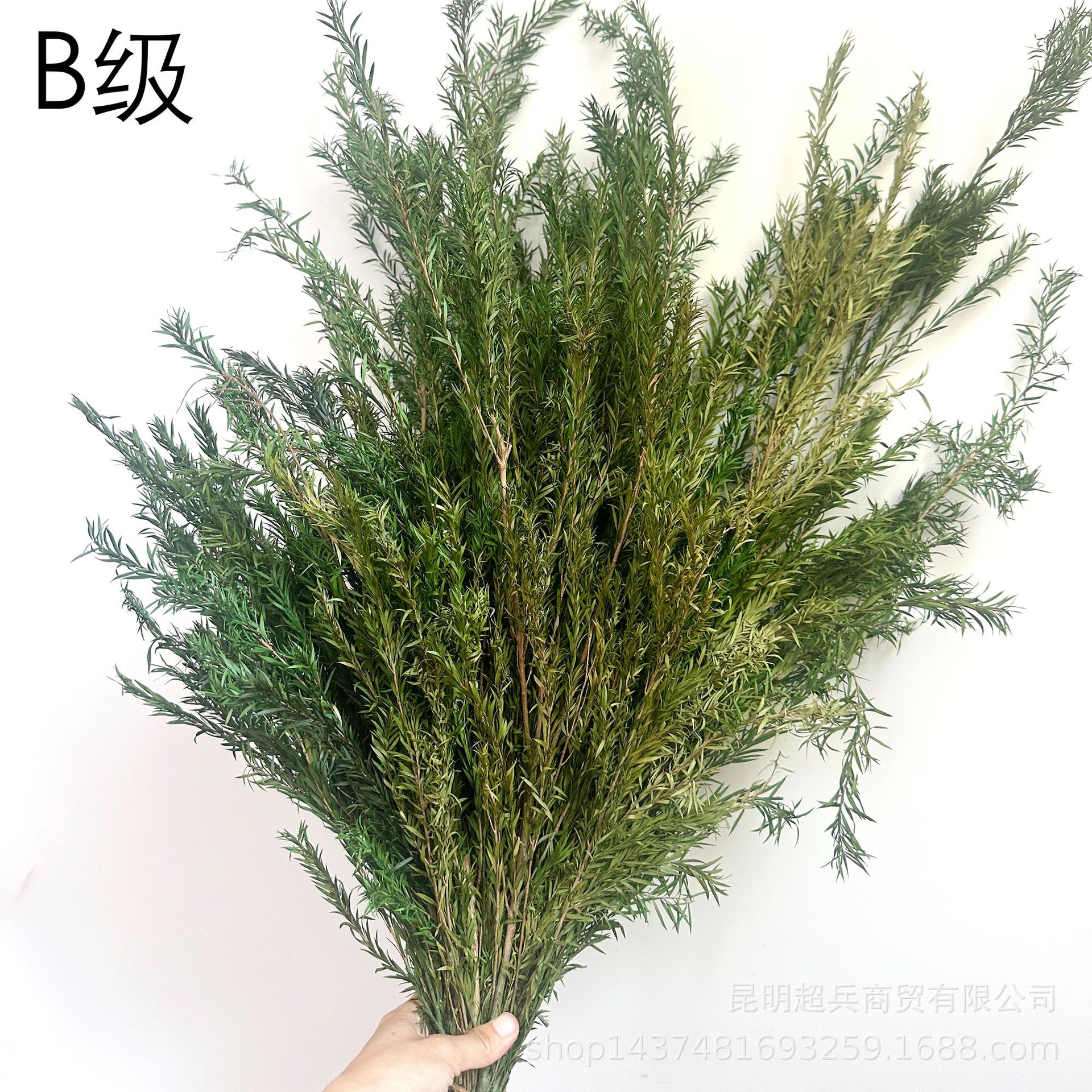Hijau penyerap warna kualitas B / 100 gram