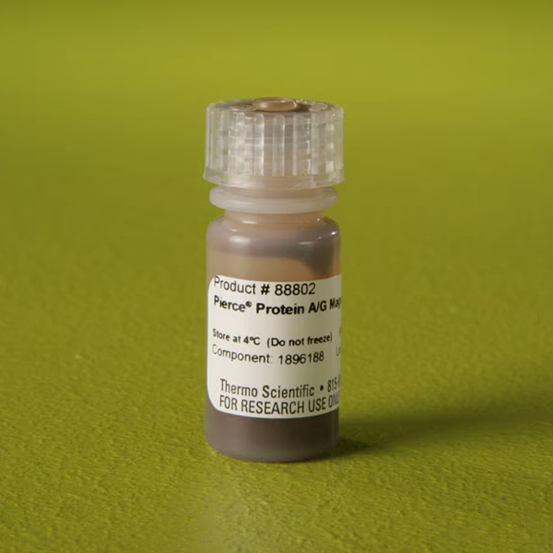 88802/88803赛默飞Pierce蛋白A/G磁珠试剂磁性亲和分离颗粒Thermo