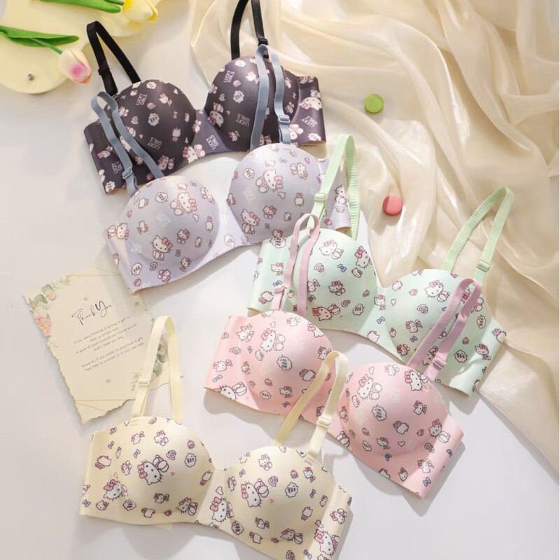 Cross-Border Southeast Asian Japanese Style Girl Style Hellokitty Sweet Intimates for Women with Small Breasts Push-Up Pure Lust Sexy Bra