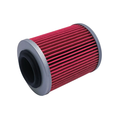 Motorcycle engine and accessories CF800 oil filter
