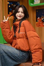 ��ɫ��q��ë��ñins�L2025���¶̿�����������n��С��������Ů