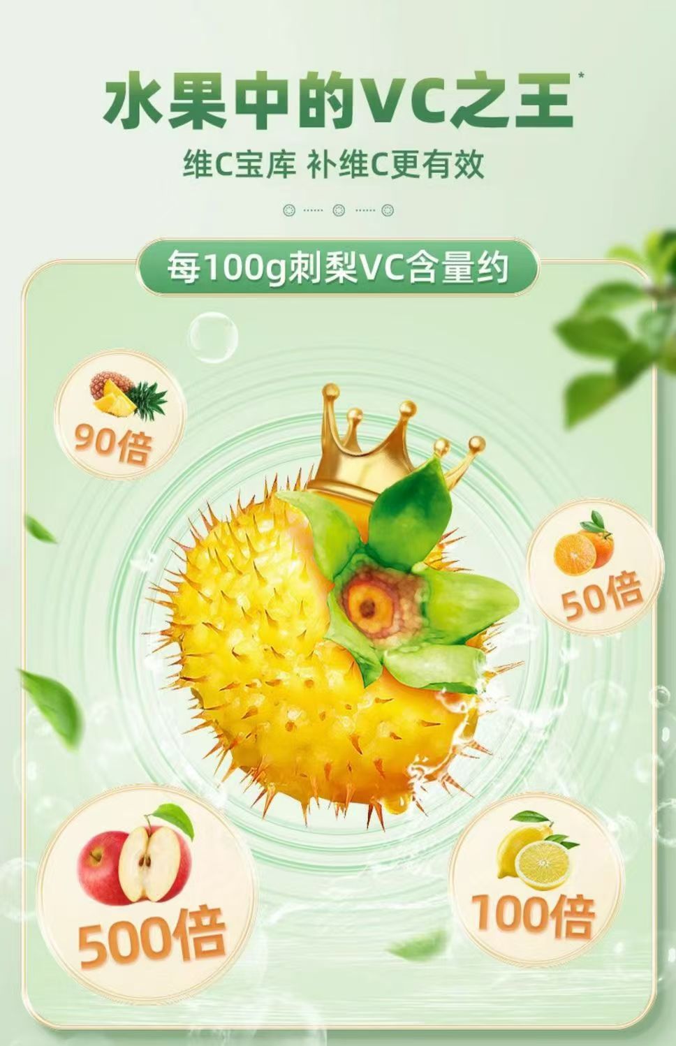 Dried Cili Fruit Slices Ci Li 100g Natural Sun Dried Rosa roxburghii for Herbal Tea and Infusions specifications