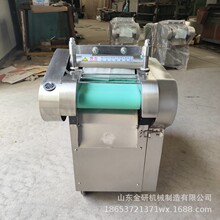 �n���_���~�����в�ș�жΙC�S�ض����ЉK�C���w����¹����Ƭ�C