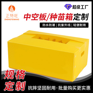 PP�пհ嶨�ƷN����ѿ������������Nֲ����зNֲѨ�P�N������