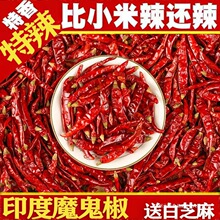 ӡ��ħ��������������������׃�B�����\�������Οo�����ö��G�l