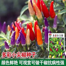 ʼ⽷N ļ׃ɫƷƷN߲ʽ콷N