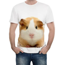 ɐۂ}Dʿ T Цͨ T ļe T