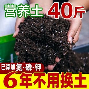 通用型营养土种菜土花土种花养花种植土壤多肉绿萝种植种植土直发-阿里巴巴