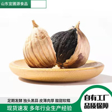 ���⪚�^������l�خa�l�ͼ�ʳ�Ҝ����l����ܛŴ����ڴ���