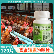 �����Bֳ�����vƬ �u���i���طN�Bֳˮ�� ����ȥ���� �S�ҹ�؛