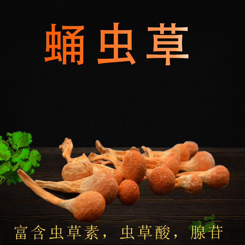 Cordyceps new resources,Cordyceps flowers,Rich Cordycepin Cordycepic acid,adenosine