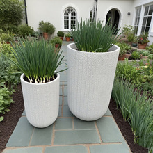 �߈A����ɫ���@�����Vˮ��Nֲ�� �F���L��̖�����ƻ��辰�^��ˇ