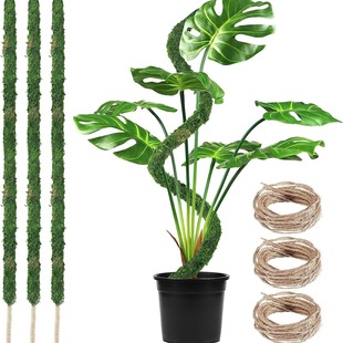 Bendable Moss Rod Coconut Palm Stick DIY Modeling Plant Climbing Rod Climbing Rattan Stereotype Green Pillar