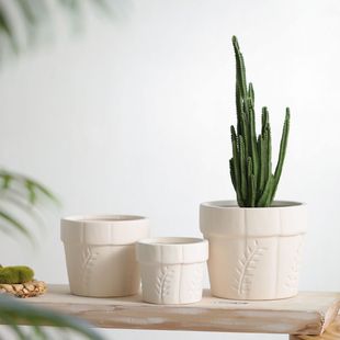 񰼵~y؟մɻп͸ˮGֲܶ