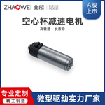 直流无刷电机 家电 电动工具 净化器专用无刷马达高功率电机替代