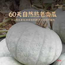 �½�ɳĮ�y���Ϲϰ���ζ��ؐؐ���������oʳ�����߲�