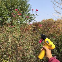 �c�����O������������늄��ڷ۫J���һ��۹�����ȹ����_�h��