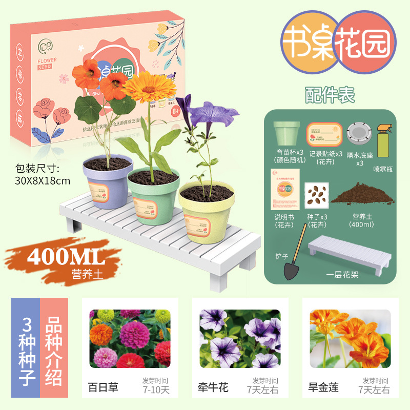 Planta de mesa para niños mini plantas verdes creativas pequeñas plantas de fresa girasol al por mayor