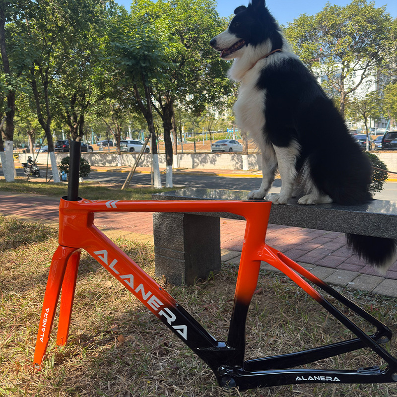 Orange New Alanera Wind-Breaking High-Strength Carbon Fiber Road Bike Frame Road Bike Carbon Frame Disc Brake