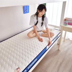 Memory Foam Mattress Milk Silk Bilateral Three-Dimensional Latex Mattress Thickened Student Dormitory Single Tatami Mattress