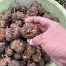 �����R��V���خa�ԷNݩ�j�����F��ˮ�������֭�����߲ˑ���ˮ��